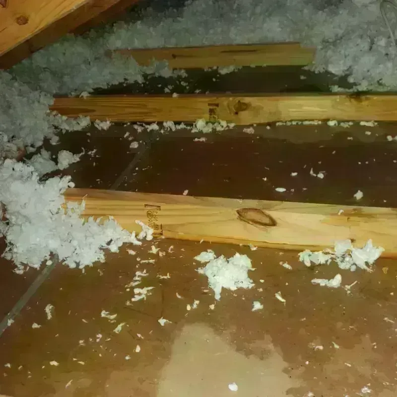 Attic Water Damage in Halls, TN